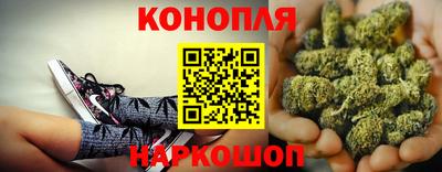 гашик Абакан