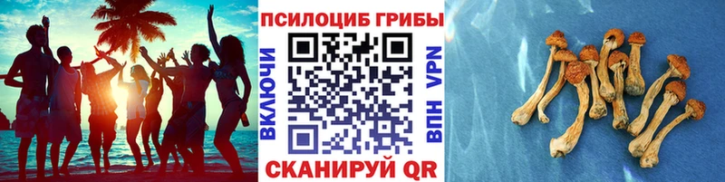 Псилоцибиновые грибы GOLDEN TEACHER Ангарск