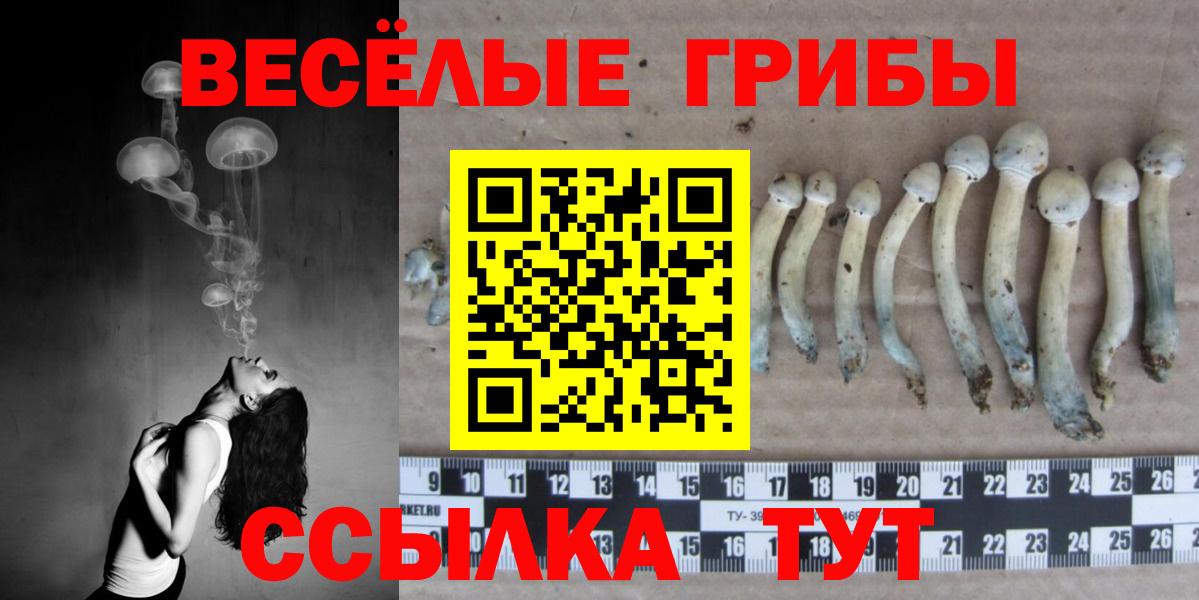 Псилоцибиновые грибы ЛСД Ангарск